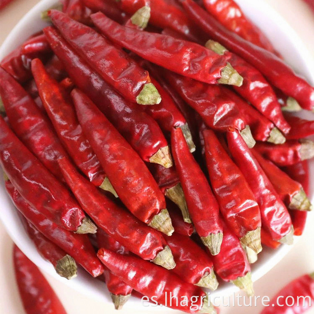 Wholesale Hot Millet Peppers